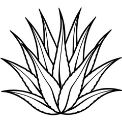 Aloe Vera line art vector