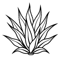Aloe Vera line art vector
