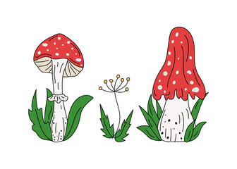 Set. Cartoon amanita mushrooms, fly agaric, leaves. Hand drawn icons, doodle drawings, illustration.