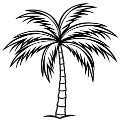 Fototapeta premium Areca Palm line art vector