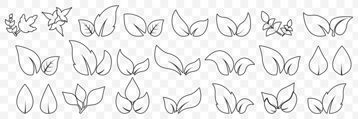set of Black line leaf icons on Transparent Background. EPS 10.
