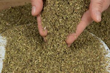 Dried natural oregano pouring from hands, close-up