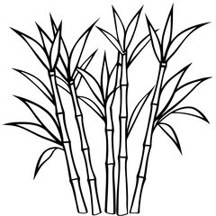 Bamboo line art vector