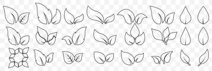 set of line leaf icons on Transparent Background. EPS 10.