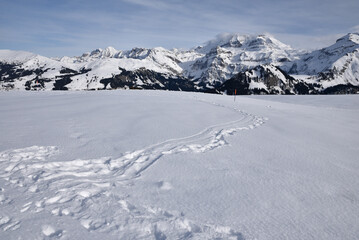 Traces dans la neige dans l'Oberland bernois.  Suisse