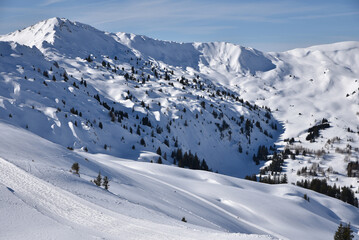 Au coeur de l'hiver dans l'Oberland bernois.  Suisse