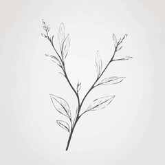 vector tree silhouette
