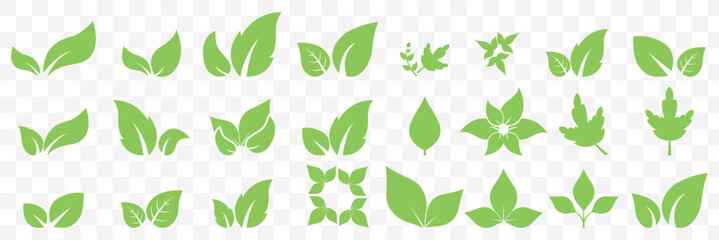 Green leaf icons set. Leaves icon on isolated Transparent background. Collection green leaf. Elements design for natural, eco, vegan, bio labels. Vector illustration EPS 10