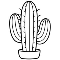 Cactus line art vector
