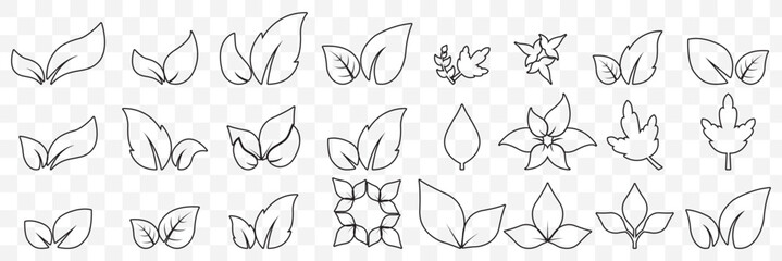 set of line leaf icons on Transparent Background. EPS 10.