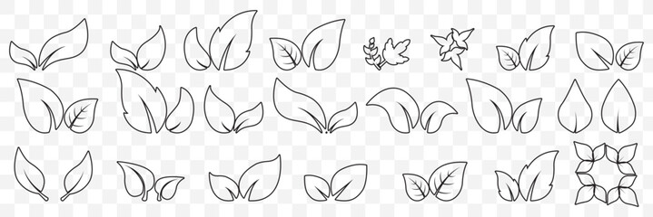 set of line leaf icons on Transparent Background. EPS 10.