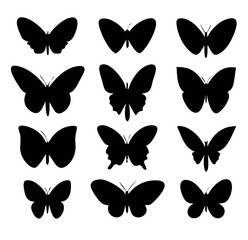 Butterflies set. Vector illustration