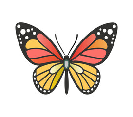 Colorful butterfly . Vector illustration