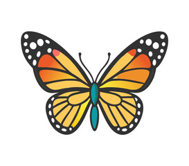 Colorful butterfly . Vector illustration