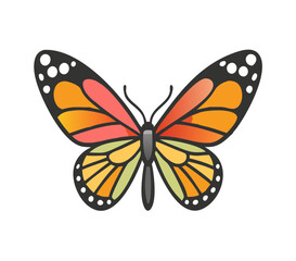 Colorful butterfly . Vector illustration