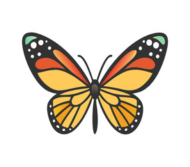 Colorful butterfly . Vector illustration
