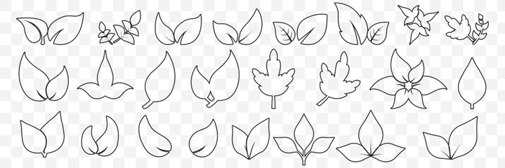set of line leaf icons on Transparent Background. EPS 10.