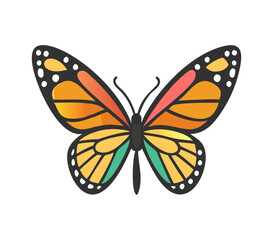 Colorful butterfly . Vector illustration