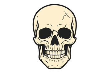 Fototapeta premium A human skull is depicted in isolation on a white background, serving as a design element for various applications