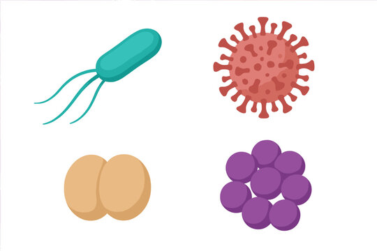 A collection of lone probiotic bacteria and viruses, including germs and microbes, is comprised of various microorganisms, such as realistic gonococcus and coronavirus, staphylococci or cocci, and