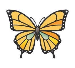 Colorful butterfly . Vector illustration