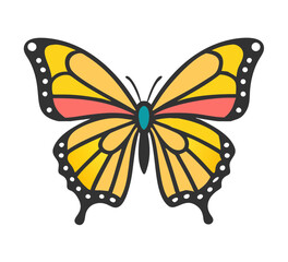 Colorful butterfly . Vector illustration
