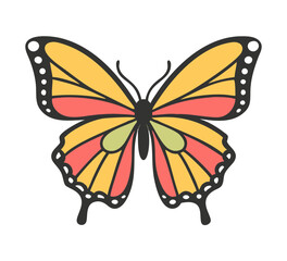 Colorful butterfly . Vector illustration