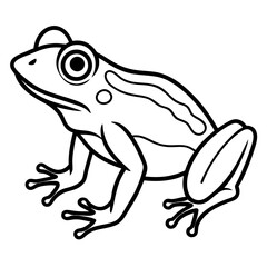 Frog line art vector