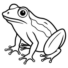 Frog line art vector