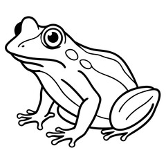 Frog line art vector