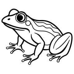 Frog line art vector