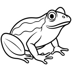 Frog line art vector