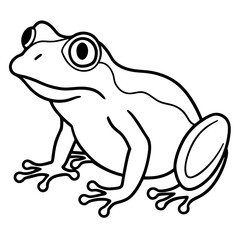 Frog line art vector