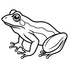 Frog line art vector