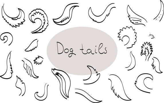 Pet  dog tail. Outline Drawing doodle skech vector icon illustration