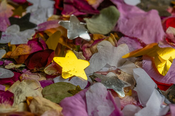 Vibrant celebration of colors spread across a festive surface adorned with stars and flower petals