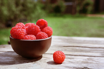 Fresh-picked summer raspberries in a bowl outdoors.