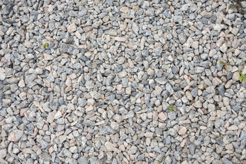 Gravel stone path with small green plants