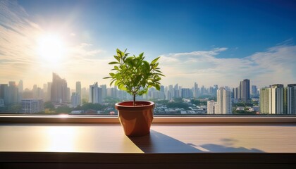 single plant on windowsill overlooking cityscape viewpoint life