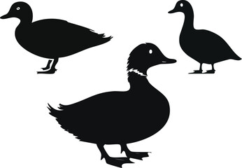 Elegant Animals Silhouette Set Three Exquisite Duck Silhouettes for Design Projects