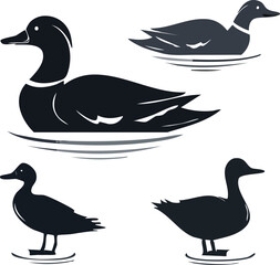 Elegant Mallard Duck Silhouette Set  A Collection of Swimming and Flying Duck Silhouettes for Design Projects