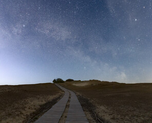 Clear night sky full of stars.