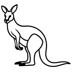 Kangaroo line art vector