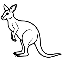 Kangaroo line art vector