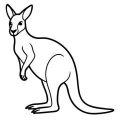 Kangaroo line art vector
