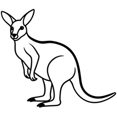 Kangaroo line art vector