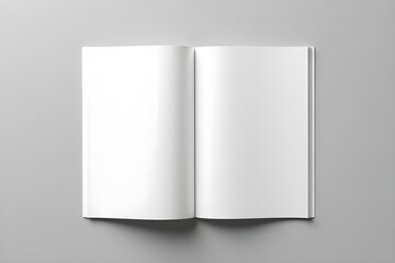 Fototapeta premium blank white book