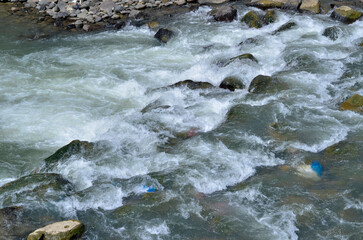 water flowing over rocks in the forest