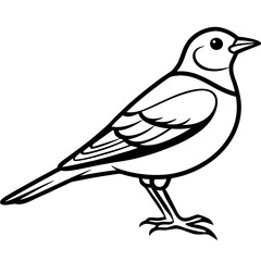 Lark line art vector