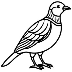 Lark line art vector